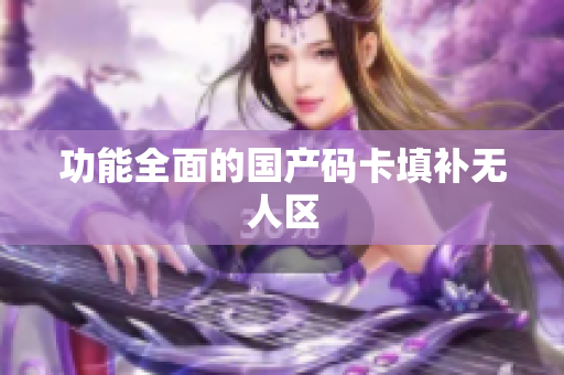 功能全面的国产码卡填补无人区