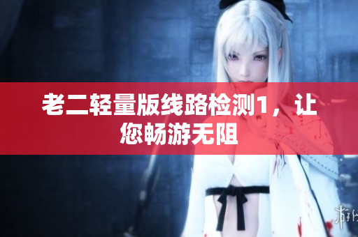 老二轻量版线路检测1，让您畅游无阻