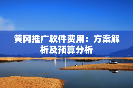 黄冈推广软件费用：方案解析及预算分析