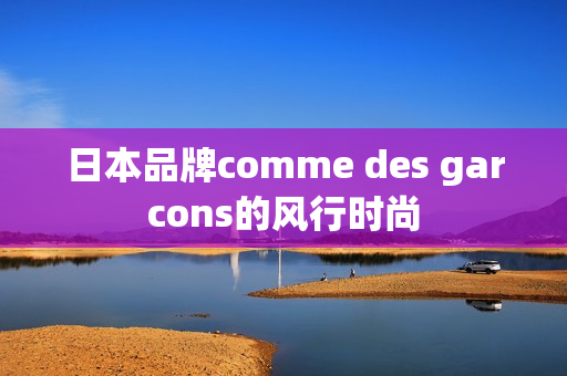 日本品牌comme des garcons的风行时尚