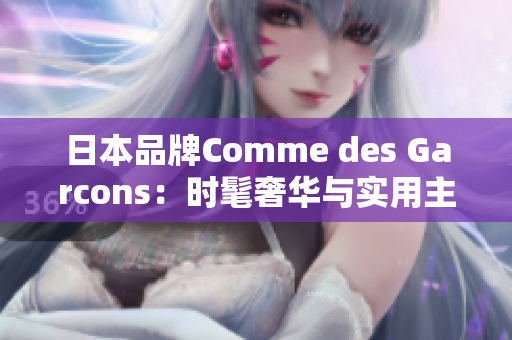 日本品牌Comme des Garcons：时髦奢华与实用主义完美结合