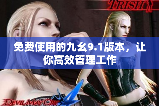 免费使用的九幺9.1版本，让你高效管理工作