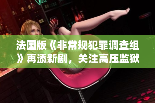 法国版《非常规犯罪调查组》再添新剧，关注高压监狱[推荐]