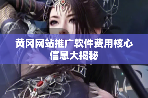 黄冈网站推广软件费用核心信息大揭秘
