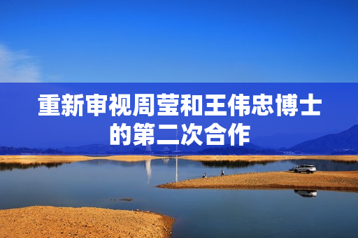 重新审视周莹和王伟忠博士的第二次合作