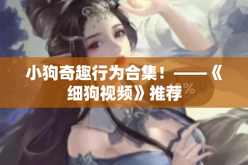小狗奇趣行为合集！——《细狗视频》推荐