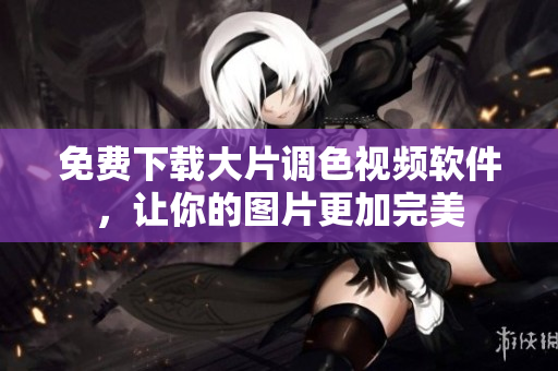 免费下载大片调色视频软件，让你的图片更加完美