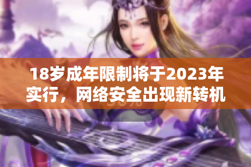 18岁成年限制将于2023年实行，网络安全出现新转机