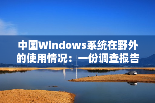中国Windows系统在野外的使用情况：一份调查报告
