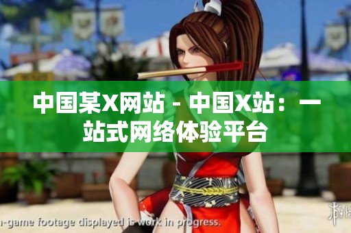 中国某X网站 - 中国X站：一站式网络体验平台