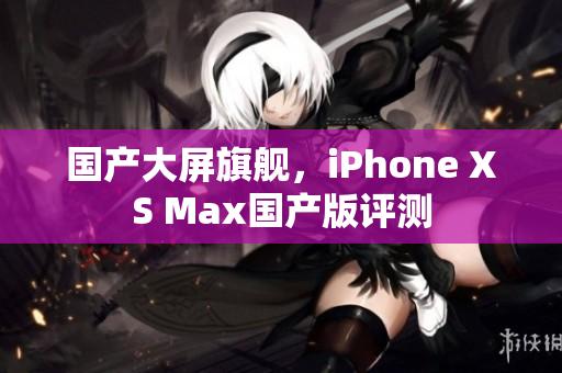 国产大屏旗舰，iPhone XS Max国产版评测
