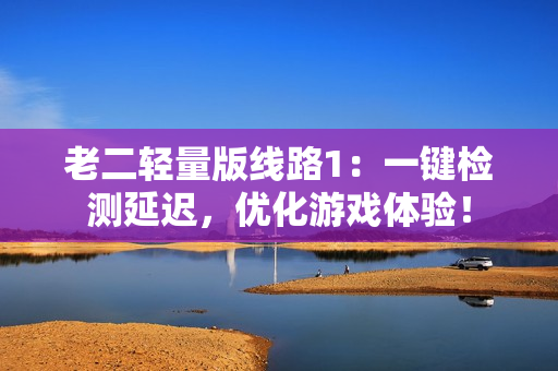 老二轻量版线路1：一键检测延迟，优化游戏体验！