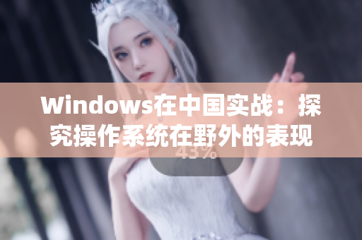 Windows在中国实战：探究操作系统在野外的表现