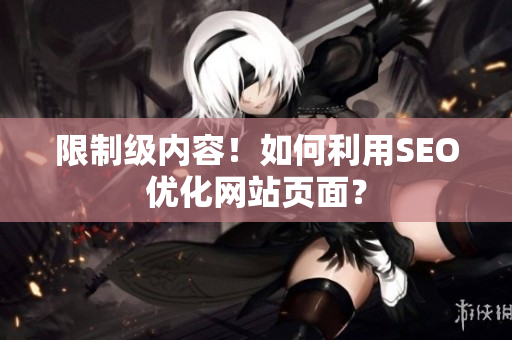 限制级内容！如何利用SEO优化网站页面？