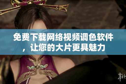 免费下载网络视频调色软件，让您的大片更具魅力