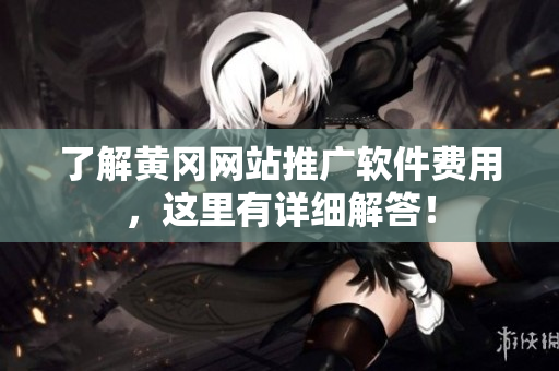 了解黄冈网站推广软件费用，这里有详细解答！