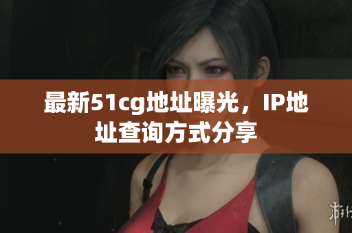 最新51cg地址曝光，IP地址查询方式分享
