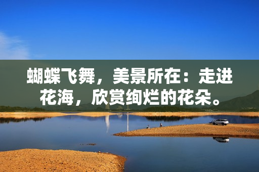 蝴蝶飞舞，美景所在：走进花海，欣赏绚烂的花朵。