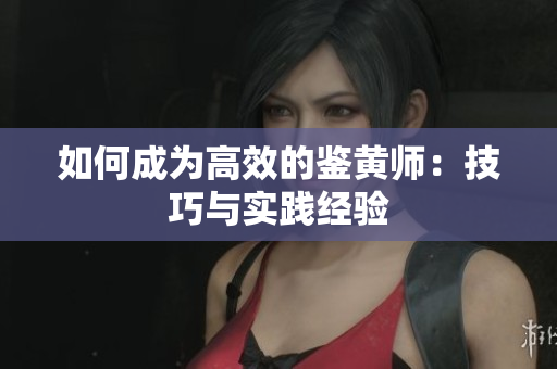 如何成为高效的鉴黄师：技巧与实践经验