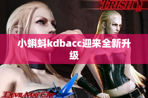 小蝌蚪kdbacc迎来全新升级
