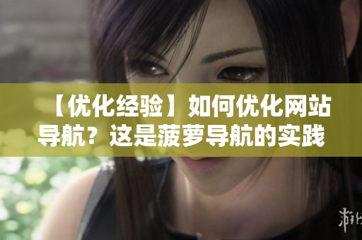 【优化经验】如何优化网站导航？这是菠萝导航的实践