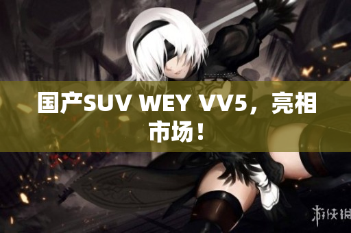 国产SUV WEY VV5，亮相市场！