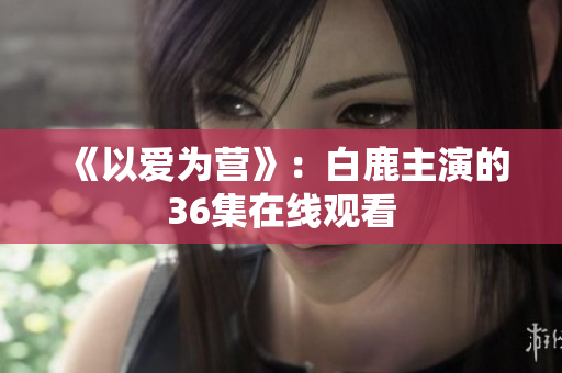 《以爱为营》：白鹿主演的36集在线观看