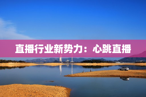 直播行业新势力：心跳直播