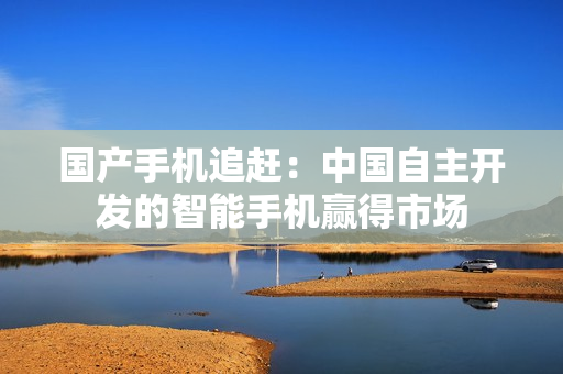 国产手机追赶：中国自主开发的智能手机赢得市场