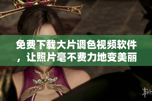 免费下载大片调色视频软件，让照片毫不费力地变美丽