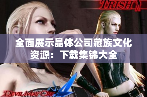 全面展示晶体公司藏族文化资源：下载集锦大全