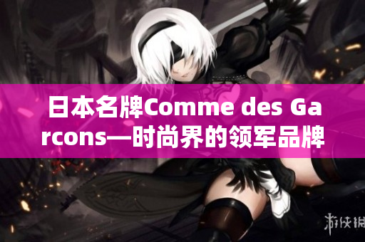 日本名牌Comme des Garcons—时尚界的领军品牌