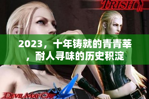 2023，十年铸就的青青莘，耐人寻味的历史积淀