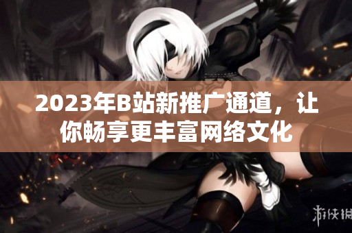 2023年B站新推广通道，让你畅享更丰富网络文化