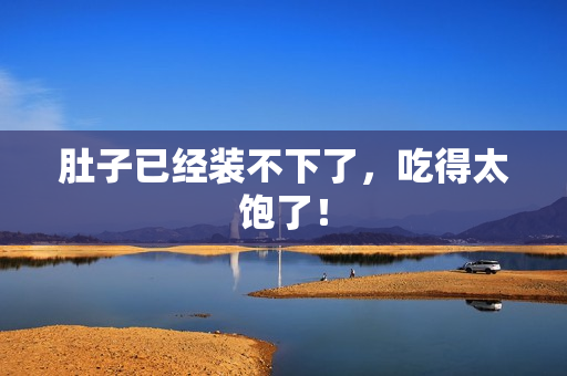 肚子已经装不下了，吃得太饱了！