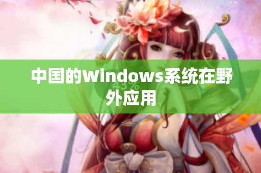 中国的Windows系统在野外应用