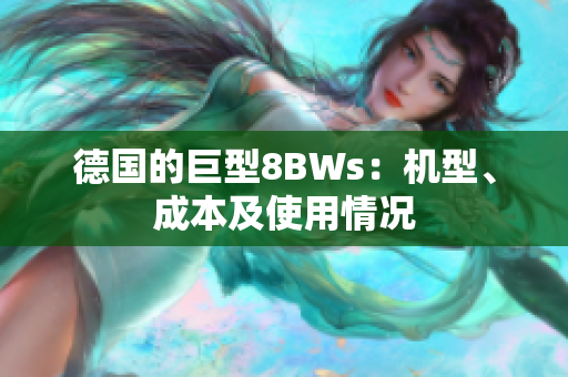 德国的巨型8BWs：机型、成本及使用情况