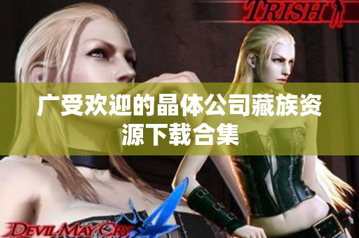 广受欢迎的晶体公司藏族资源下载合集