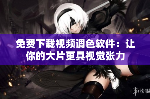 免费下载视频调色软件：让你的大片更具视觉张力