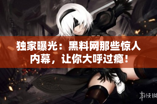 独家曝光：黑料网那些惊人内幕，让你大呼过瘾！