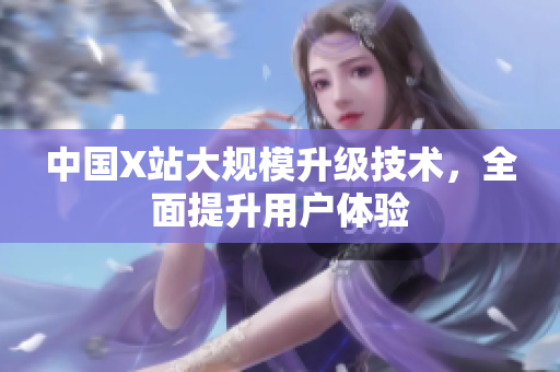 中国X站大规模升级技术，全面提升用户体验