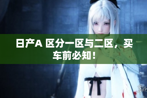 日产A 区分一区与二区，买车前必知！