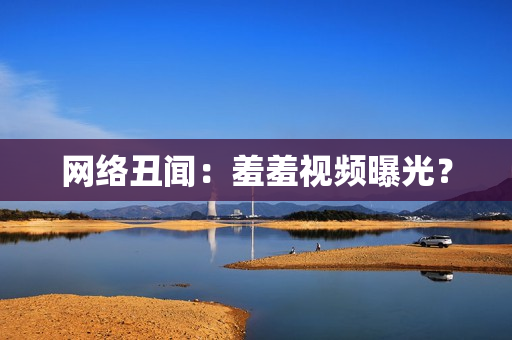 网络丑闻：羞羞视频曝光？