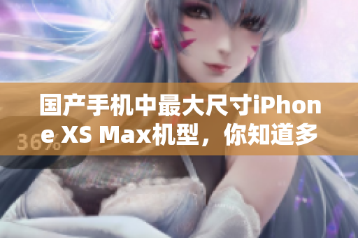 国产手机中最大尺寸iPhone XS Max机型，你知道多少？