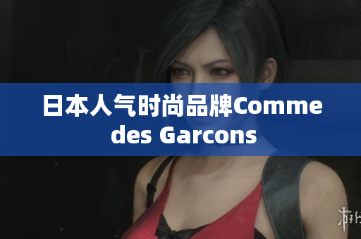 日本人气时尚品牌Comme des Garcons
