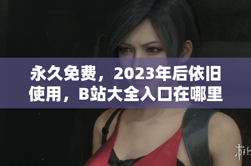 永久免费，2023年后依旧使用，B站大全入口在哪里？