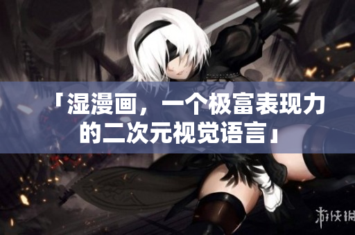 「湿漫画，一个极富表现力的二次元视觉语言」