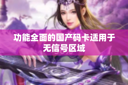 功能全面的国产码卡适用于无信号区域