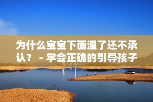 为什么宝宝下面湿了还不承认？ - 学会正确的引导孩子言行。