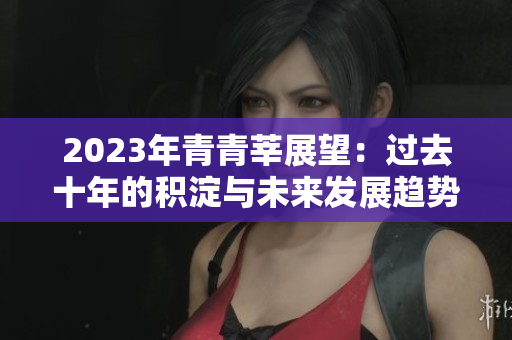 2023年青青莘展望：过去十年的积淀与未来发展趋势